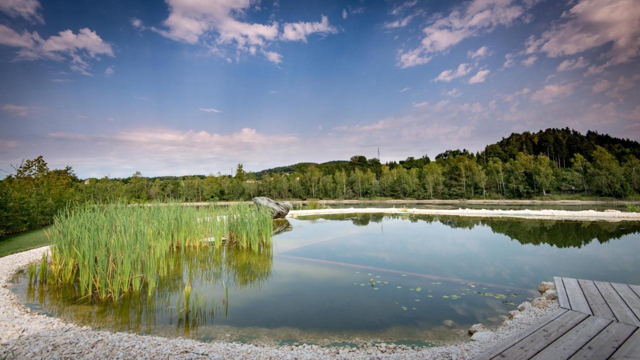 Отель Fishery Steffan Санкт-Канциан Экстерьер фото